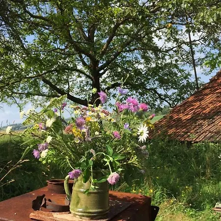 Holiday home Casa Batrana Zece Hotare
